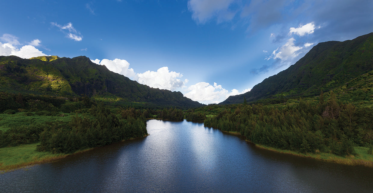 Bow Reservoir Hawaii