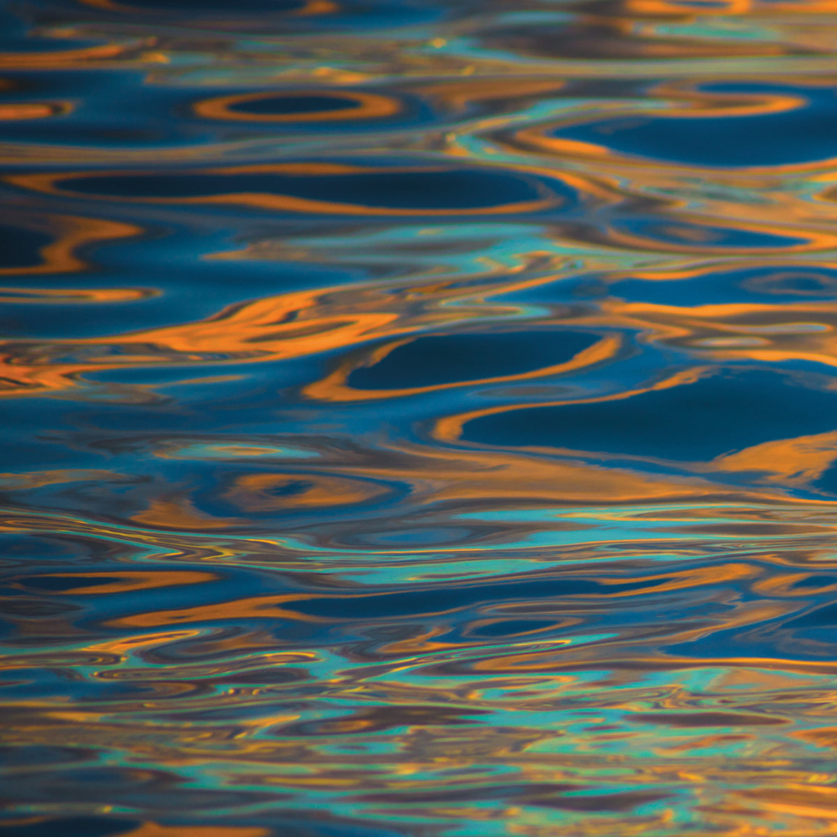 Water Movement