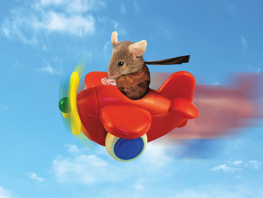 Flying Mouse Canvas Art