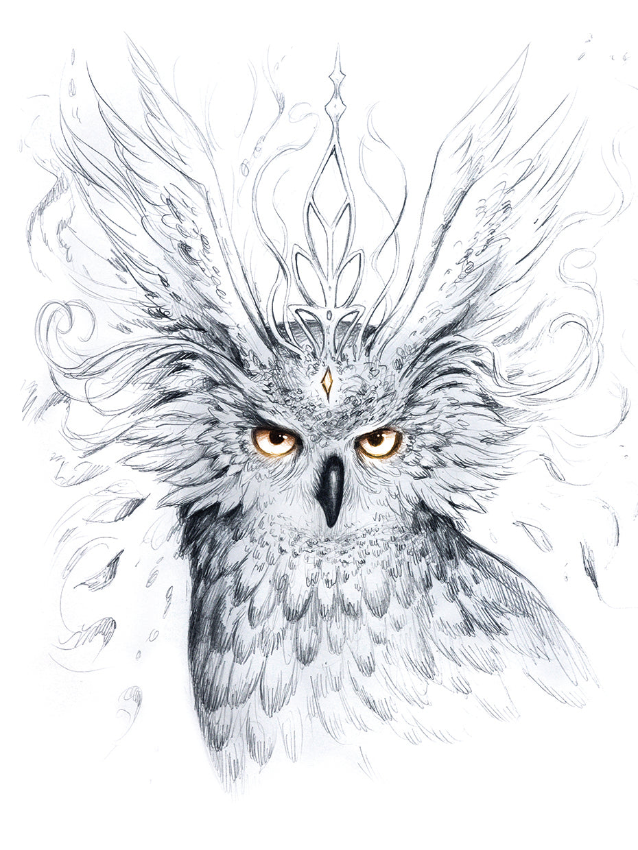 Owl