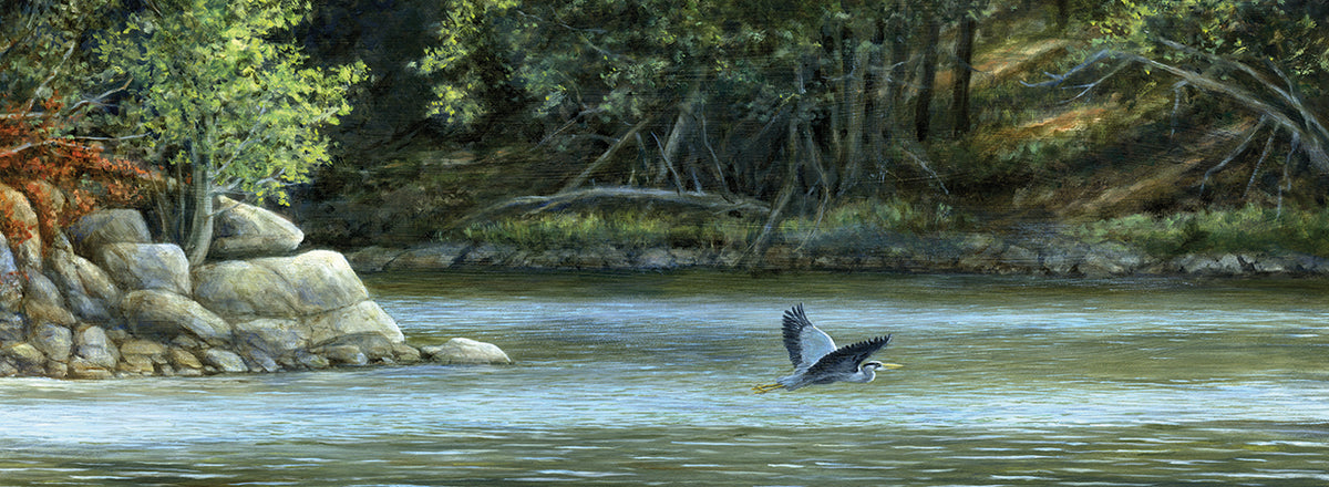 Open Water