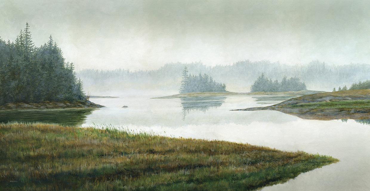 River in the Rain