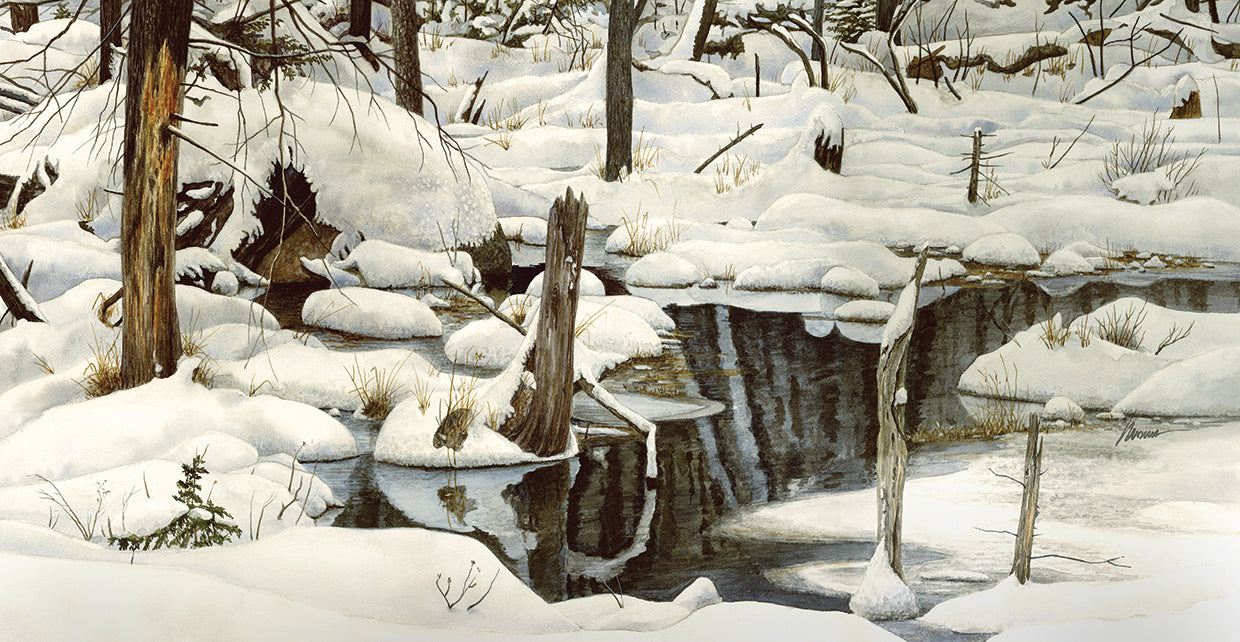 Simplicity in Detail