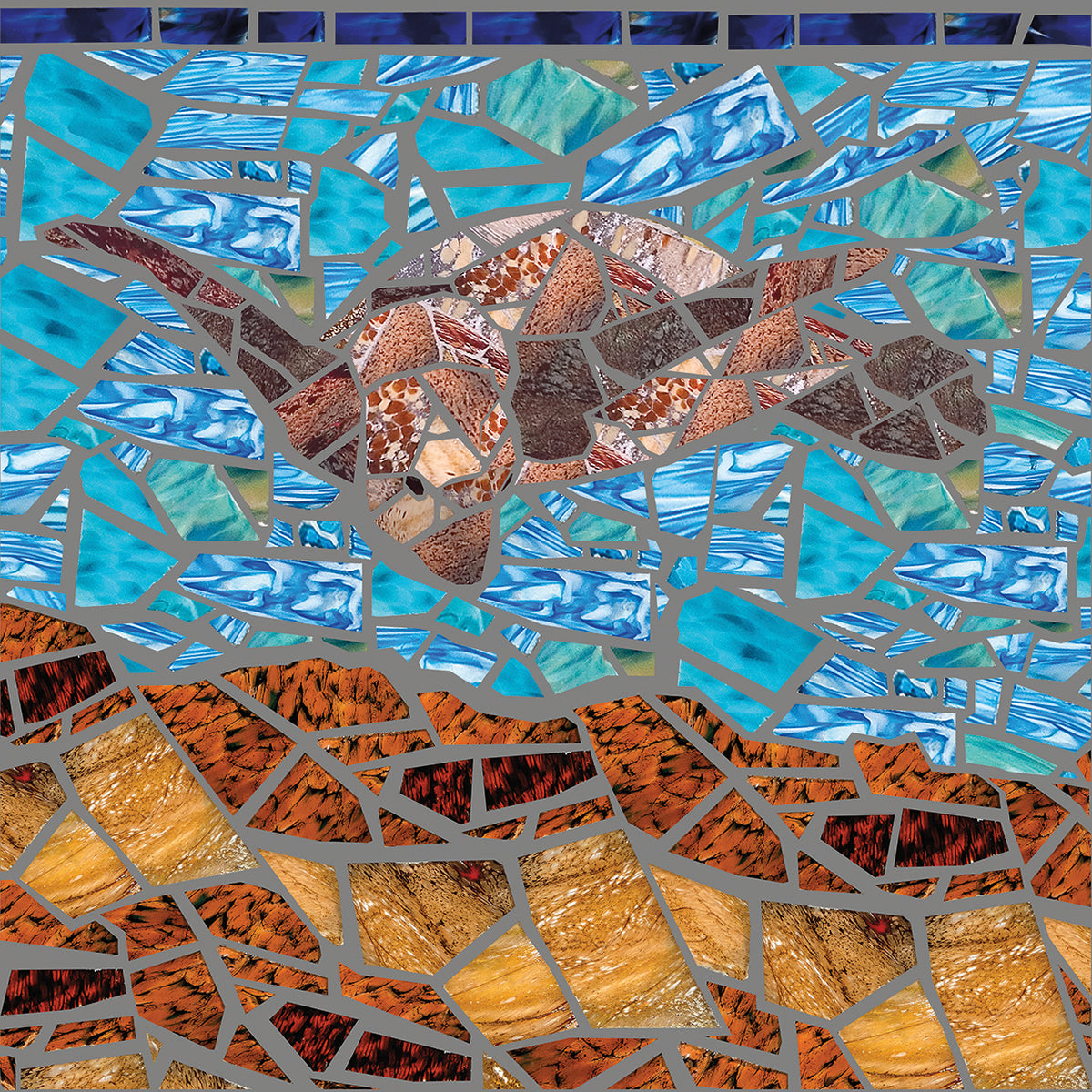 Sea Turtle
