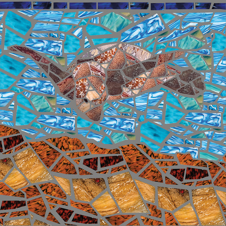 Sea Turtle