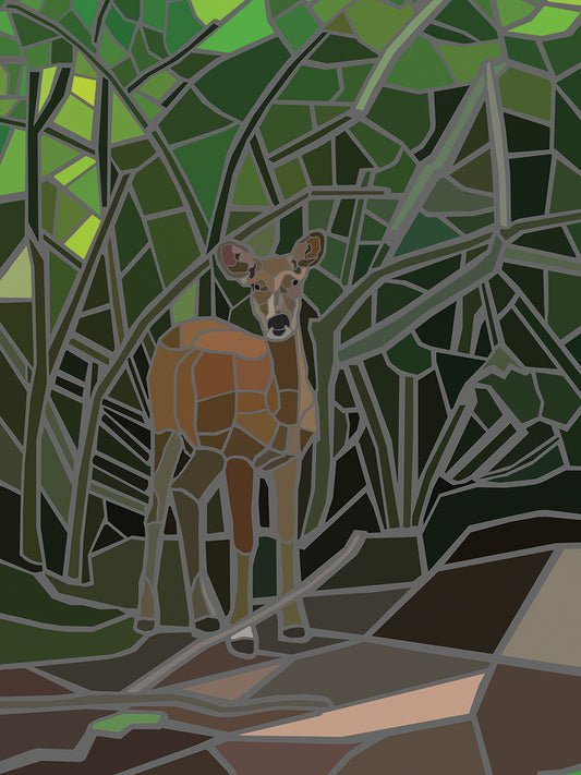 Deer in Woods Canvas Art