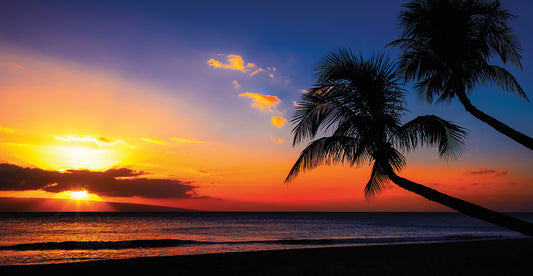 Palm Trees Sunset Canvas Art