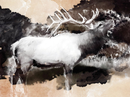 Forest Elk Call Canvas Art