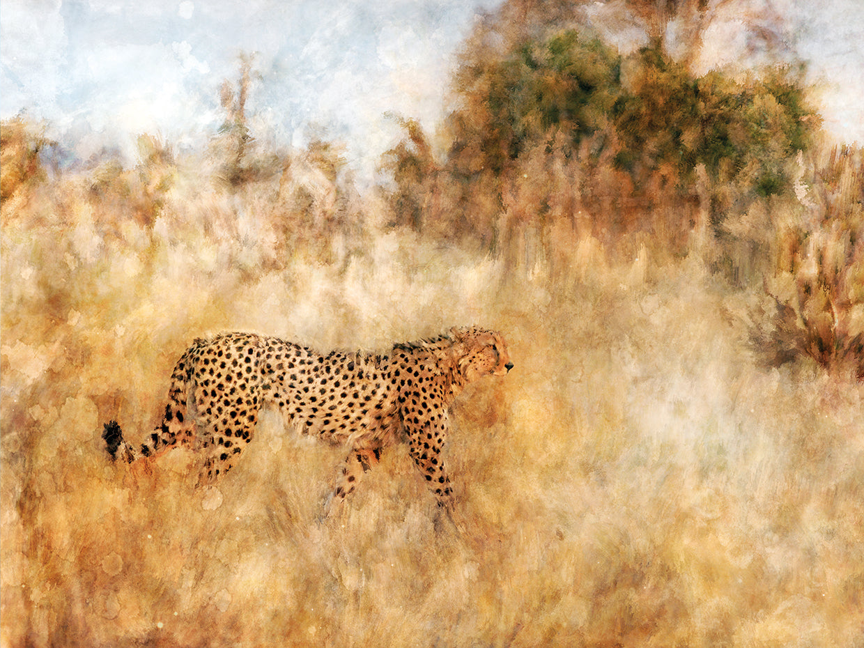 Cuadro en lienzo Golden Savanna Cheetah