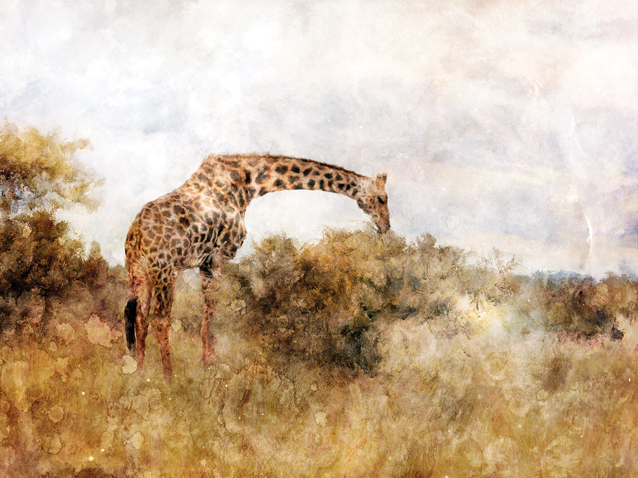 Arte de la lona de la jirafa de la sabana dorada