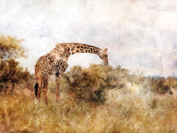 Arte de la lona de la jirafa de la sabana dorada