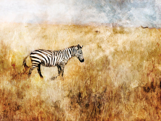 Golden Savanna Zebra Canvas Art