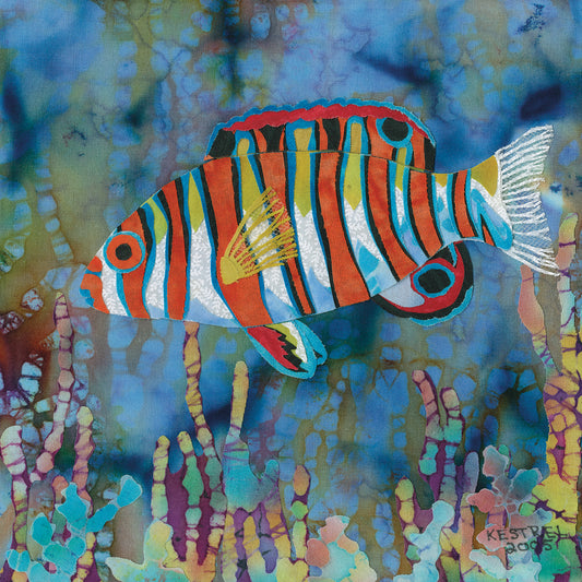 Harlequin Tusk Fish Canvas Art