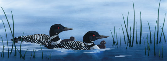Family of Loons Canvas Art