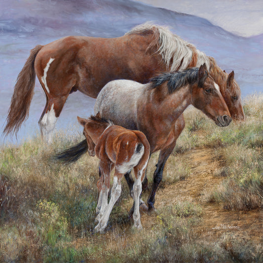 Family Ties the American Mustang Canvas Art