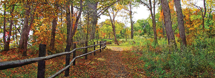A Stroll Along the Gorge