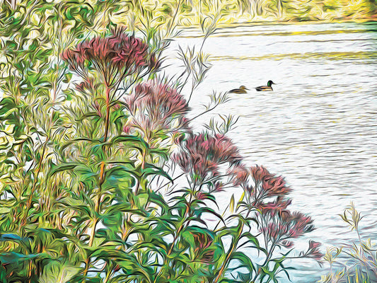 Behind The Milkweed Canvas Art