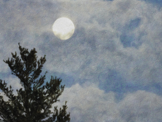 Full Moon In A Cloudy Evening Sky Canvas Art