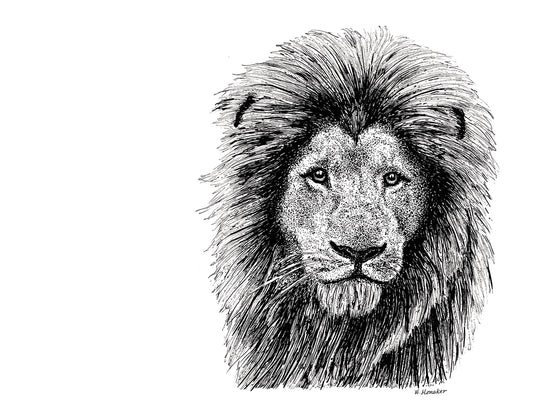 Lion Canvas Art