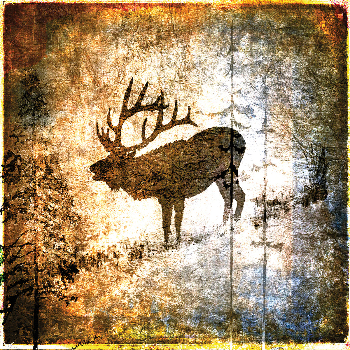 High Country Elk