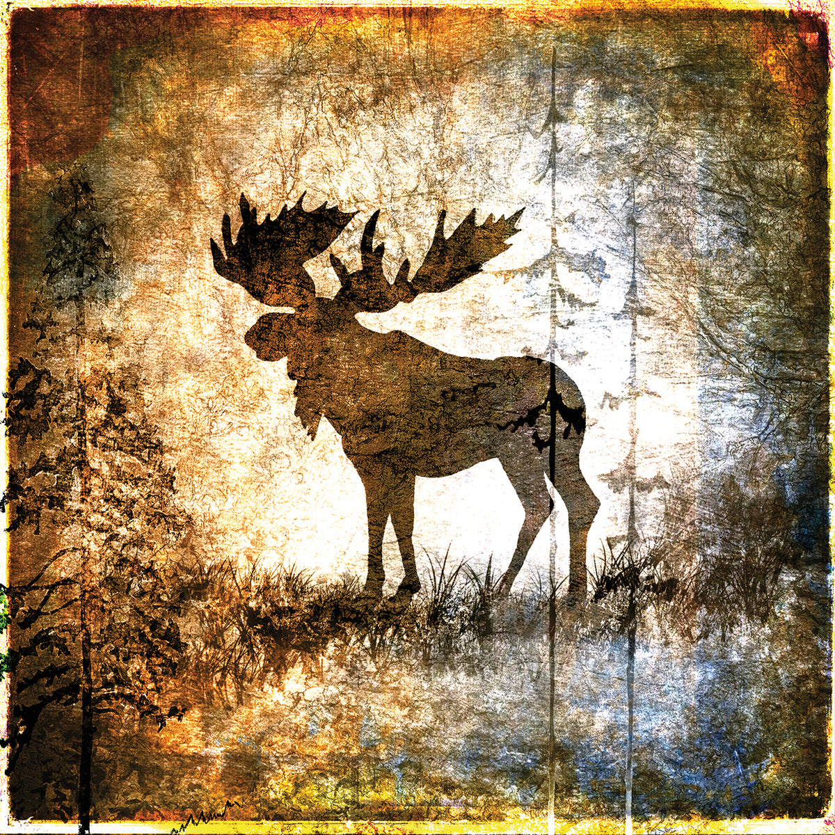 High Country Moose