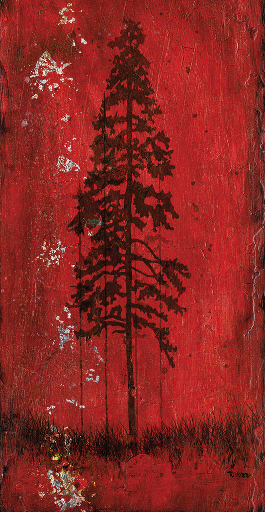 Lodge Pole Pine Canvas Print