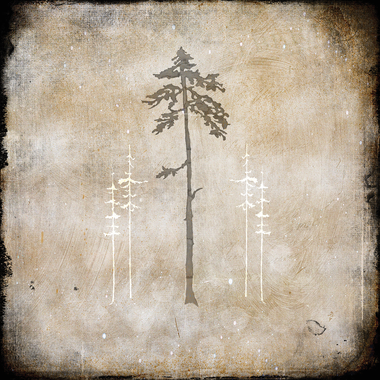 Moose Lodge 2 - Lodge Pole