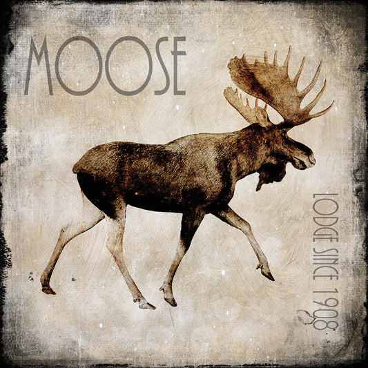 Moose Lodge 2 Canvas Print