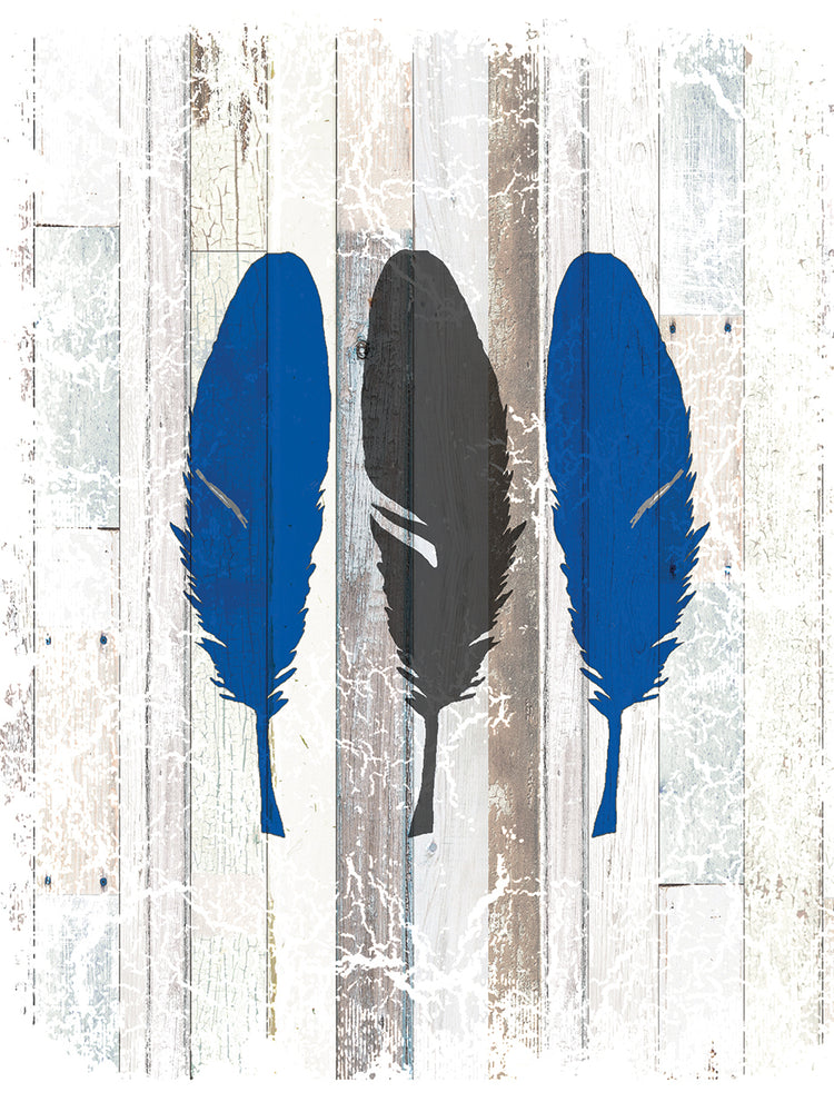 The Blue Moose - Feathers