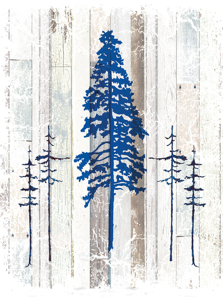 The Blue Moose - Lodge Pole Pine
