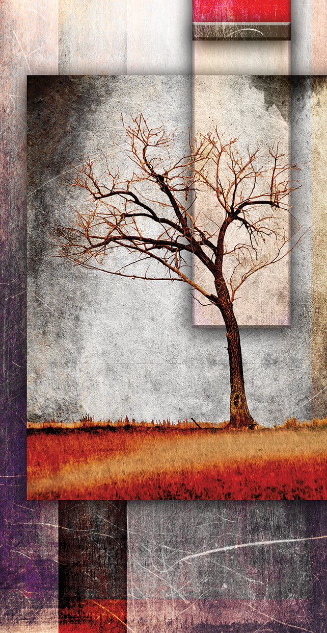 Cottonwood Tree Part # 4