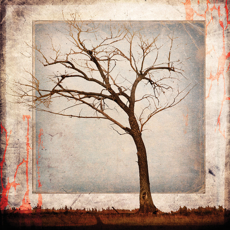 Arte de la lona de la parte 05 del árbol de Cottonwood