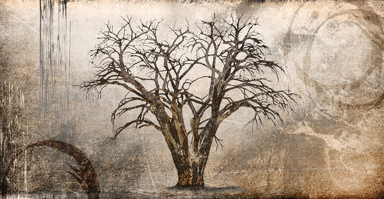 Cottonwood Tree Part 07