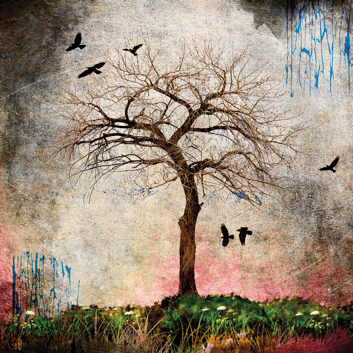 Cottonwood Tree Part 08