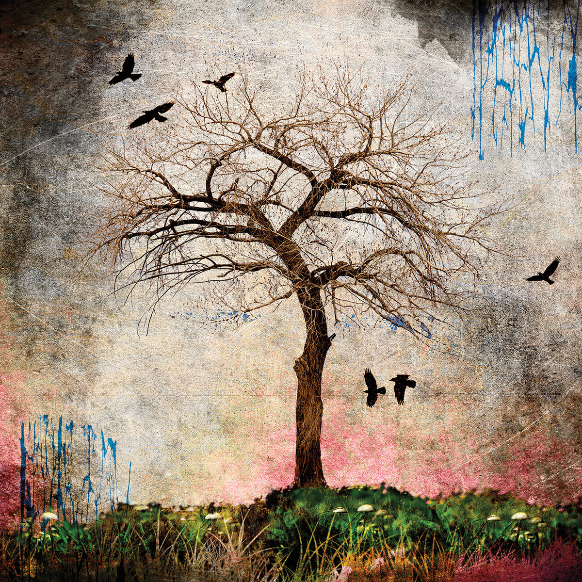 Cottonwood Tree Part 08 Wall Art by LightBoxJournal | Fine Art Canvas