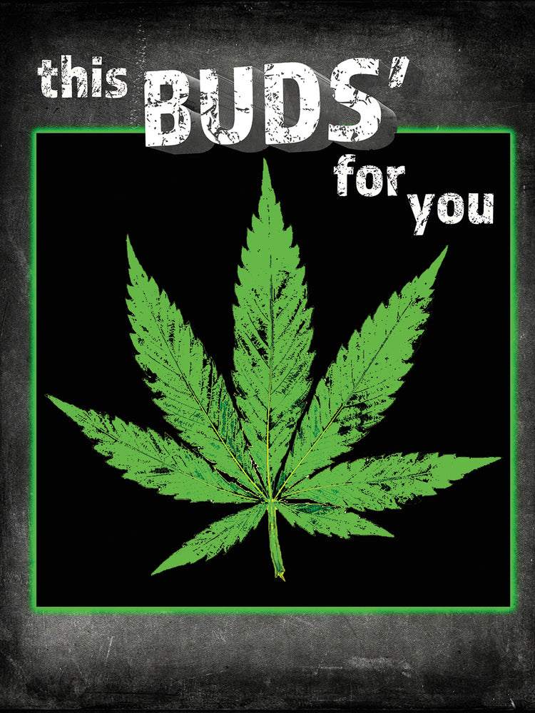 Dorm Room Light It Up This Bud