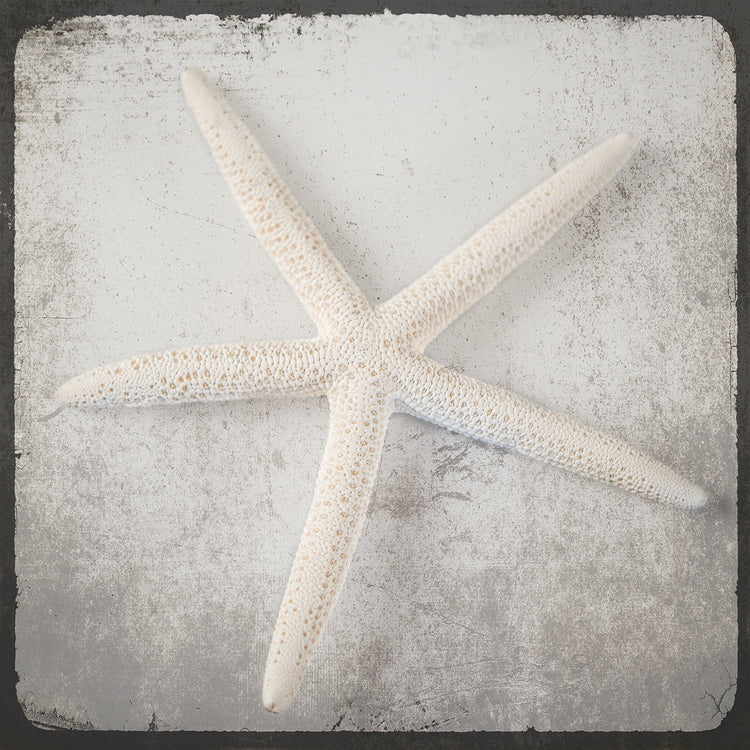 Vintage Natuical Set 2