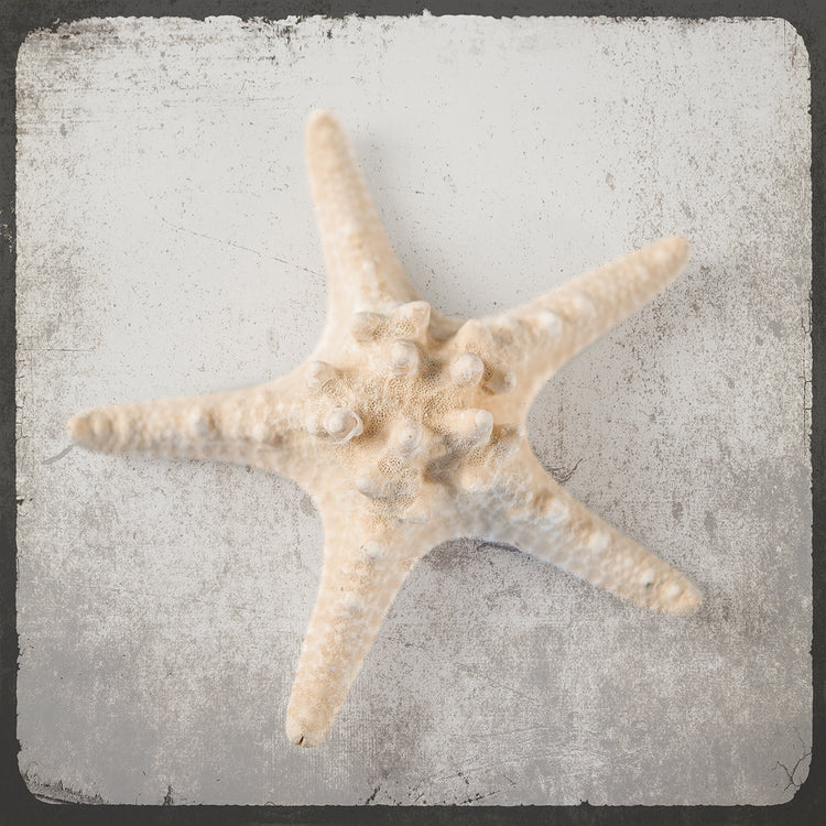 Vintage Natuical Set