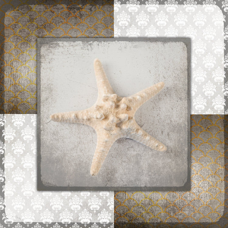 Vintage Natuical Star 2
