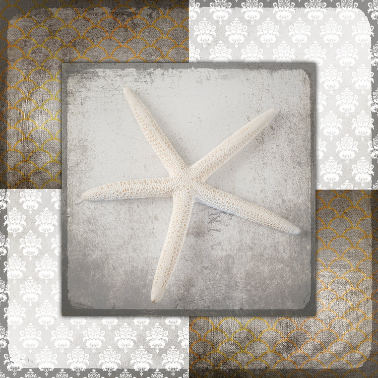 Vintage Natuical Star 3