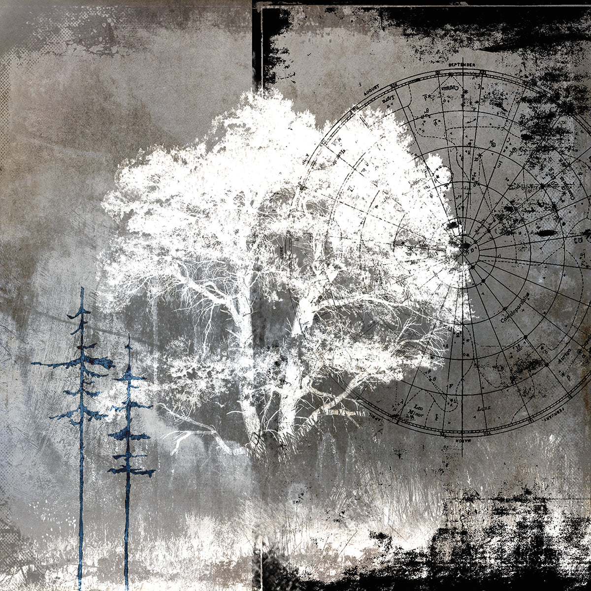 July Tree # 10