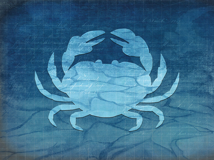 Gypsy Blue Cyanotype 4