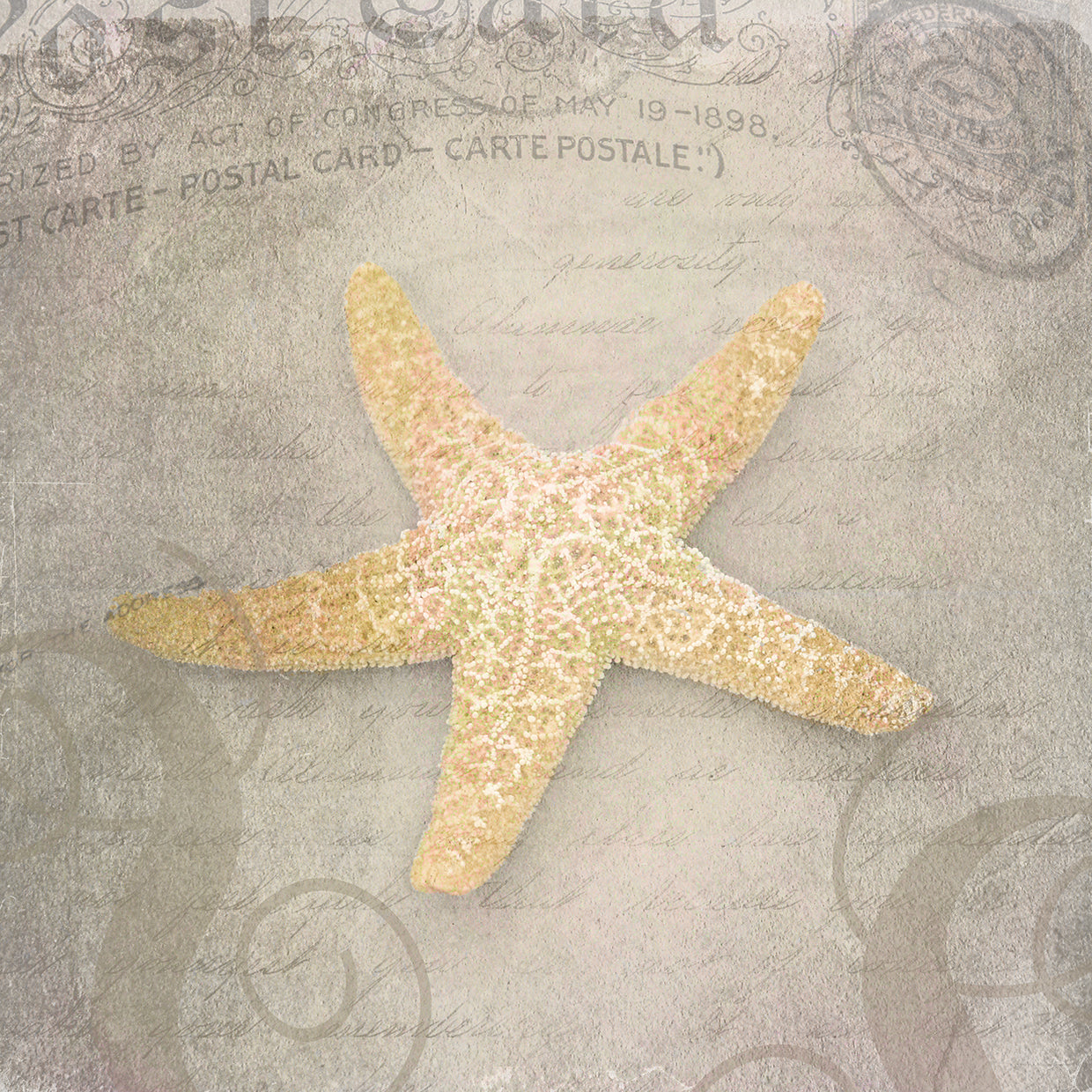 Gypsy Sea Love Letter 3