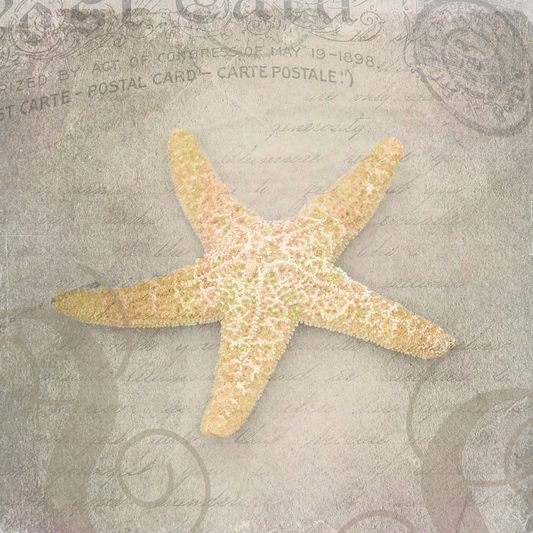 Gypsy Sea Love Letter 3