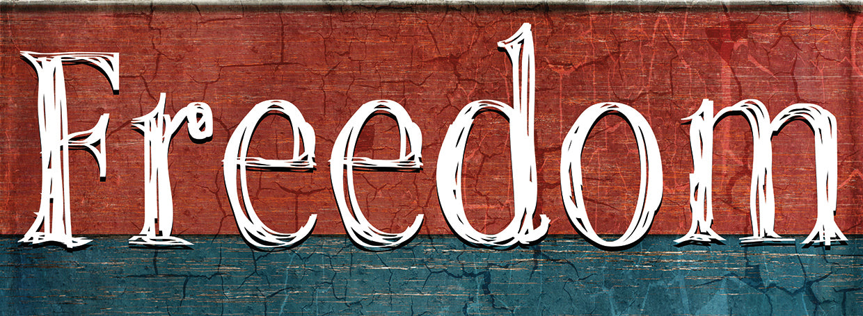 American Freedom Collection 11