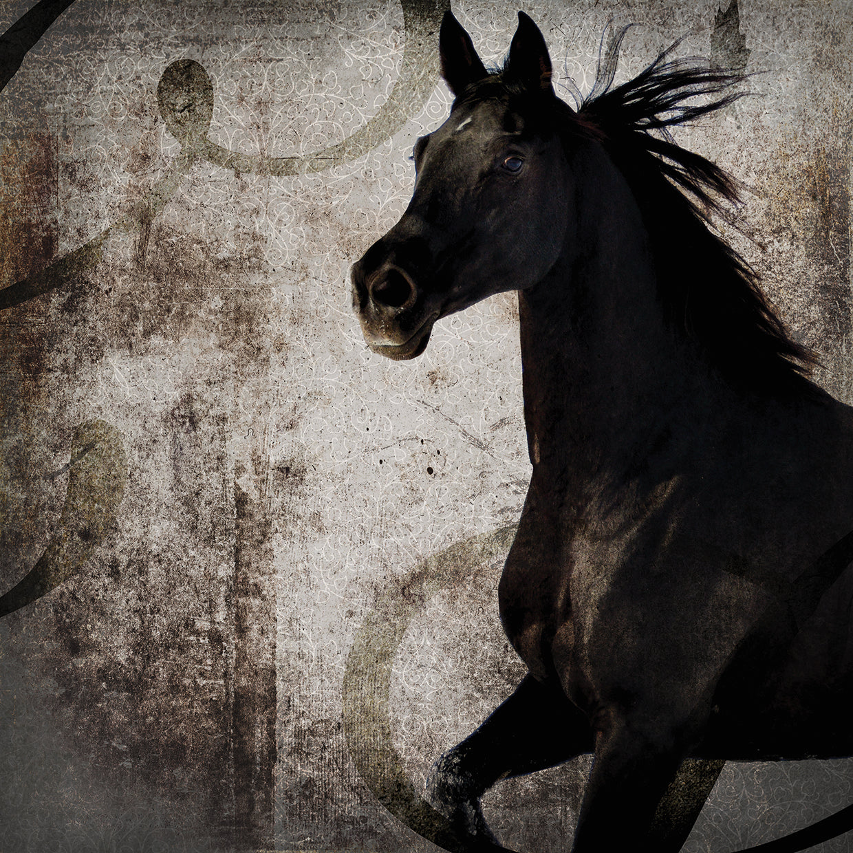 GypsyHorse Collection # 1