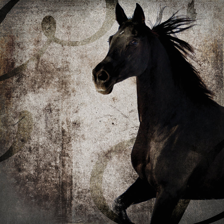 GypsyHorse Collection # 1