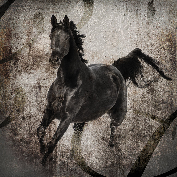 GypsyHorse Collection # 3