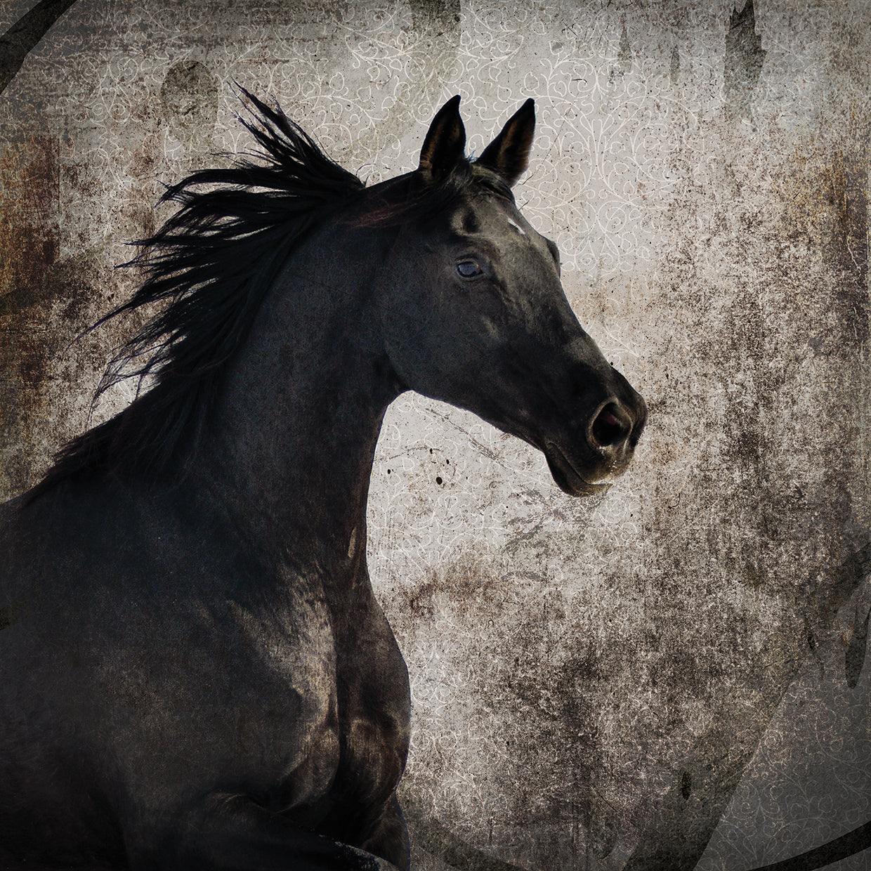 GypsyHorse Collection # 4