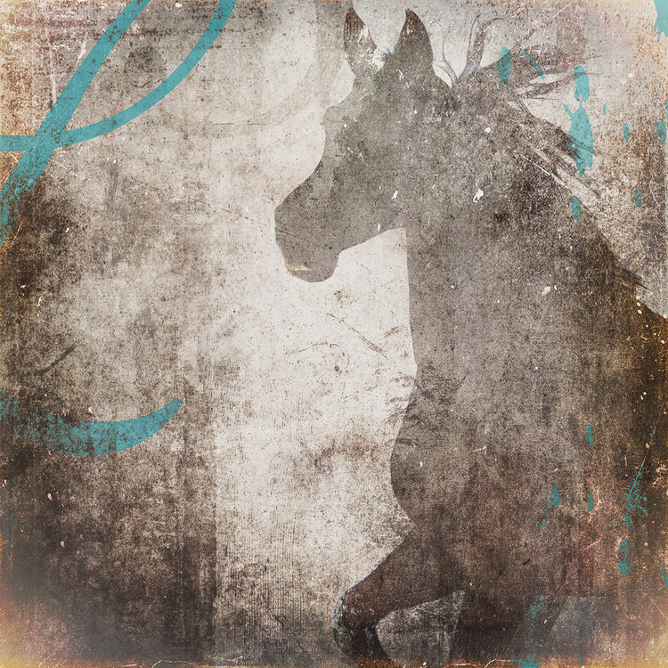 GypsyHorse Collection # 5